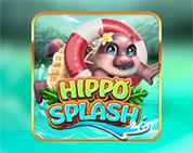 Hippo Splash